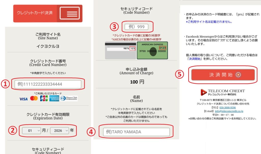 選択後は、画面の案内に従って必要事項を入力し、「決済開始」のボタンをクリックすることで年齢確認が完了します。